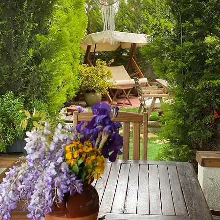 Hotel Cura 3*